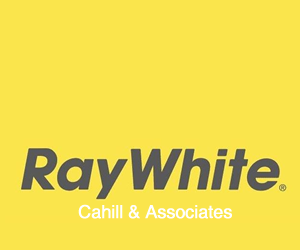 300-ray-white.png